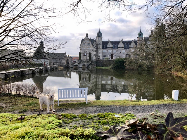 2. Weihnachtsfeiertag 2019 - Trakehner Gestt Hmelschenburg - Beate Langels