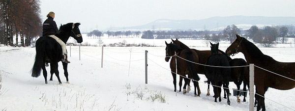 Kostolany - am 10. Dezember 2010