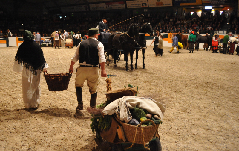 Wehlauer Pferdemarkt - Foto: Beate Langels, Trakehner Gestt Hmelschenburg