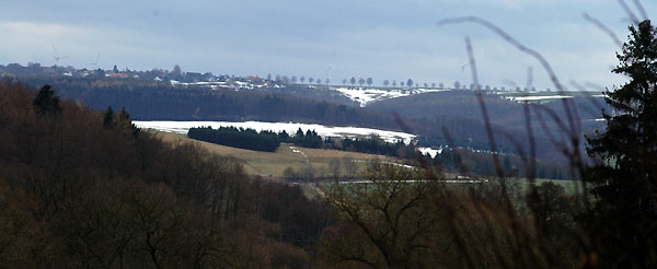 Blick zur Ottensteiner Hochebene - Gestt Hmelschenburg