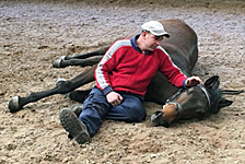 KAVANGO von Shavalou u.d. Pr.St. Kalmar v. Exclusiv - Trakehner Gestt Hmelschenburg - Beate Langels