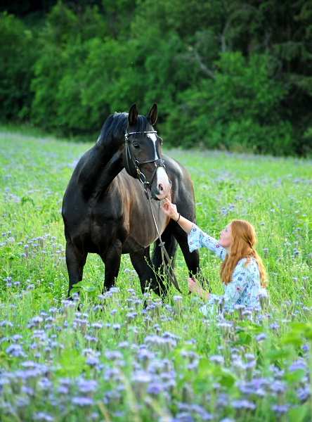 Prämienhengst Shavalou und Johanna - 27. Juni 2019 - Foto: Beate Langels