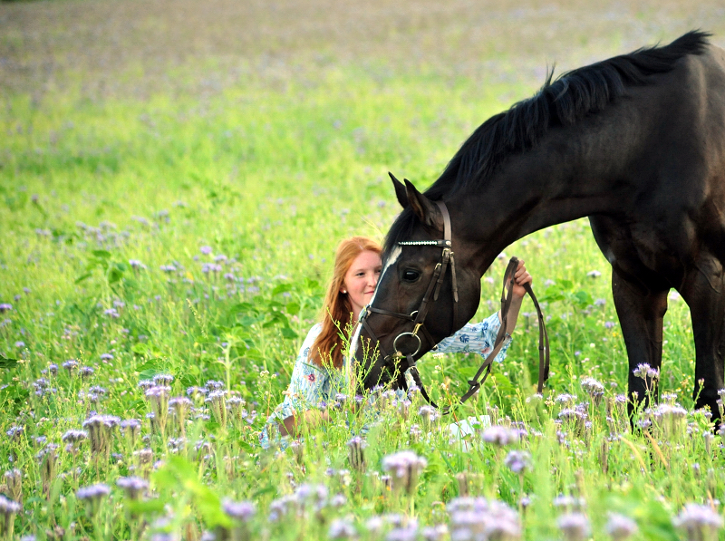 Prämienhengst Shavalou und Johanna - 27. Juni 2019 - Foto: Beate Langels