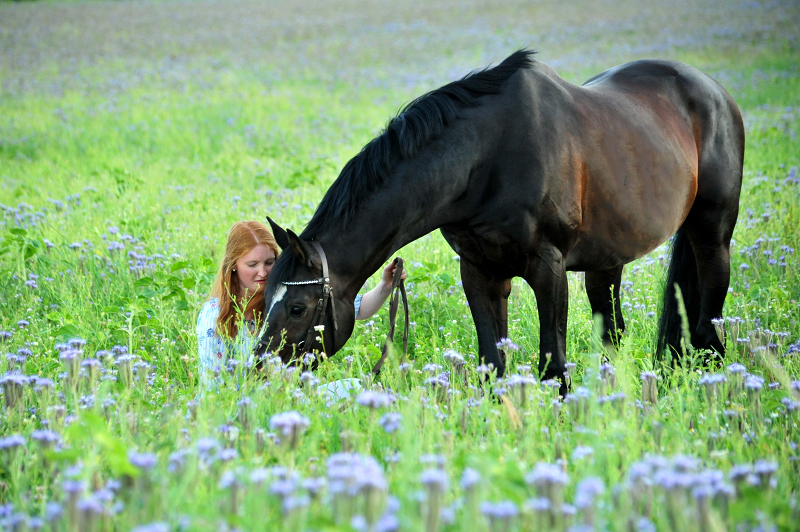 Prämienhengst Shavalou und Johanna - 27. Juni 2019 - Foto: Beate Langels