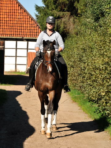 Trakehner Stute von Freudenfest u.d. Rominten v. Manrico