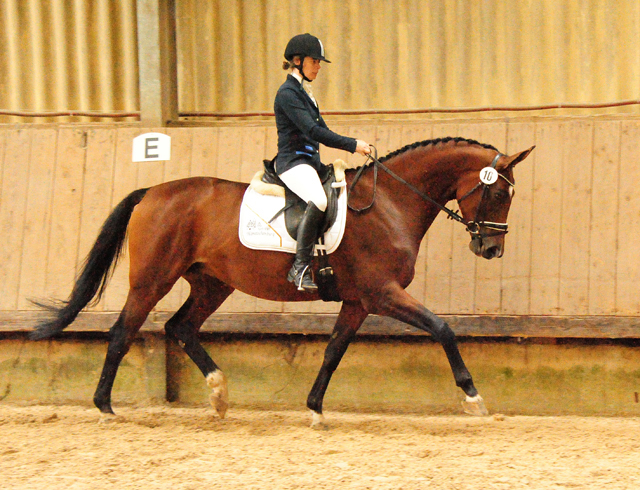 Prmienstute Schwalbenland v. Touch my Heart - Foto: Beate Langels - 
Trakehner Gestt Hmelschenburg