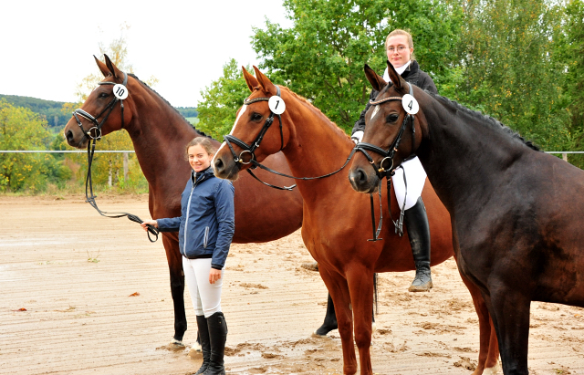 Prmienstuten Schwalbenland - Klassic Motion und Val d'Isere  - Foto: Beate Langels - 
Trakehner Gestt Hmelschenburg