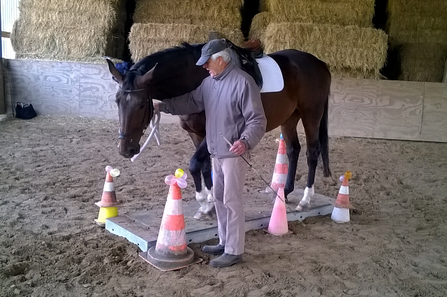 Valentiano v. Exclusiv u.d. Vicenza - Foto: privat - Trakehner Gestt Hmelschenburg