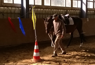 Valentiano v. Exclusiv u.d. Vicenza - Foto: privat - Trakehner Gestt Hmelschenburg