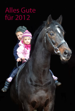 Trakehner Hengst Exclusiv mit Greta und Jasper  - Foto: Beate Langels - Trakehner Gest�t H�melschenburg