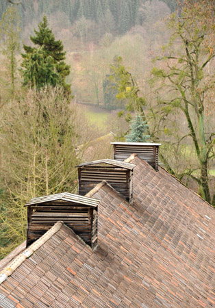im Dezember 2012, Foto: Beate Langels, Trakehner Gestt Hmelschenburg - Beate Langels