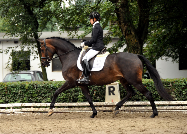 Karmencita v. Insterburg u.d. Pr.u.StPrSt. Karena v. Freudenfest - im Juli 2011 Foto: Beate Langels - Trakehner 
Gestt Hmelschenburg