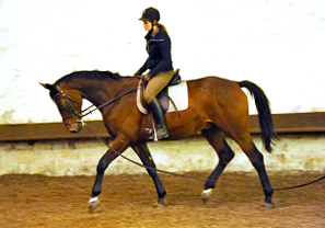 Ende September 2013 - Karalino von Summertime u.d. Karalina v. Exclusiv - Foto: Beate Langels, Trakehner Gestt Hmelschenburg