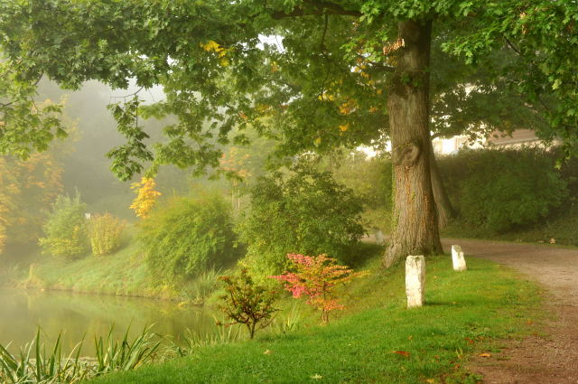 Hmelschenburg - im September 2013, Foto: Beate Langels, Trakehner Gestt Hmelschenburg - Beate Langels