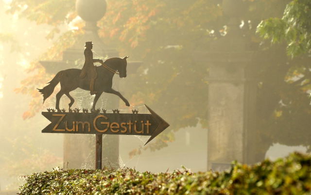 Hmelschenburg - im September 2013, Foto: Beate Langels, Trakehner Gestt Hmelschenburg - Beate Langels