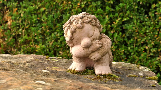 Hmelschenburg - im September 2013, Foto: Beate Langels, Trakehner Gestt Hmelschenburg - Beate Langels