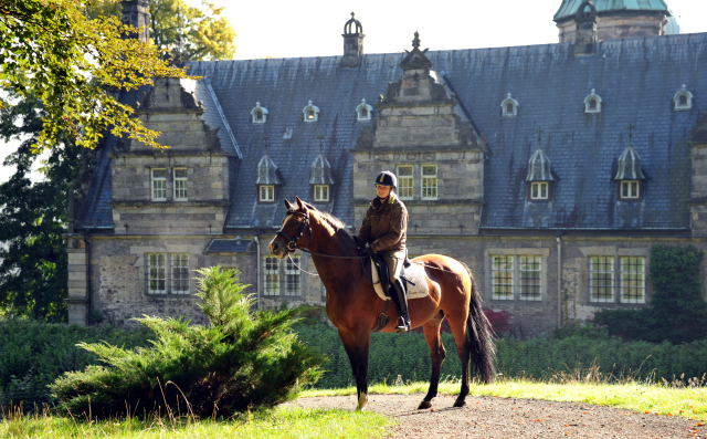 Hmelschenburg - im September 2013, Foto: Beate Langels, Trakehner Gestt Hmelschenburg - Beate Langels