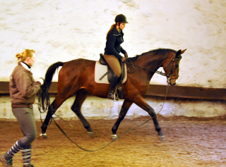 Ende September 2013 - Karalino von Summertime u.d. Karalina v. Exclusiv - Foto: Beate Langels, Trakehner Gestt Hmelschenburg