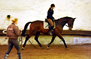 Ende September 2013 - Karalino von Summertime u.d. Karalina v. Exclusiv - Foto: Beate Langels, Trakehner Gestt Hmelschenburg