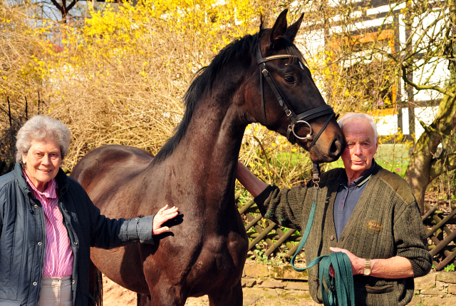 Trakehner Hengst v. Saint Cyr - Foto: Beate Langels - Trakehner Gestt Hmelschenburg