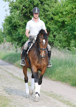 Galila von Exclusiv - Maestro, Mai 2012, Foto: Beate Langels