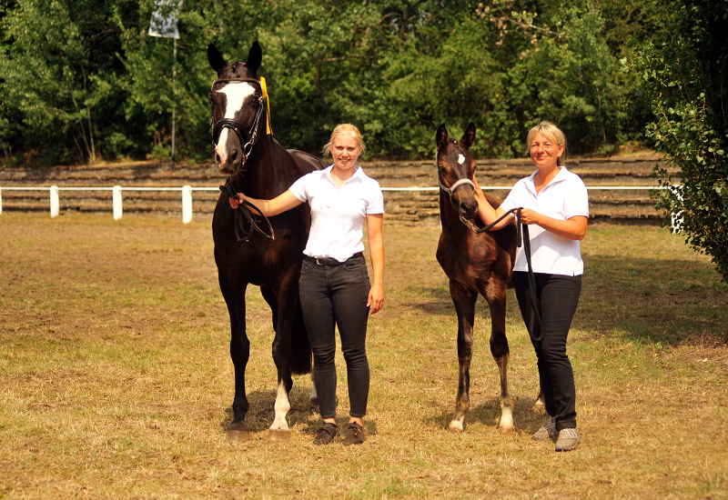 Prmienanwrterin Great Ammykay v. Alter Fritz u.d. ESt. Gloriette, Foto: Beate Langels Trakehner Gestt Hmelschenburg