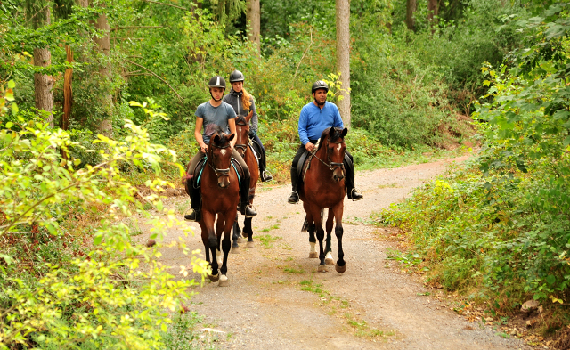 Ausritt mit Kabriola, Barinja und Schwalbenland - Trakehner Gestt Hmelschenburg - Foto: Beate Langels