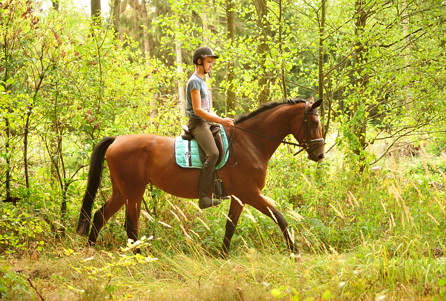 Ausritt mit Kabriola, Barinja und Schwalbenland - Trakehner Gestt Hmelschenburg - Foto: Beate Langels