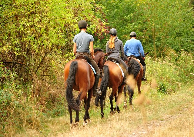 Ausritt mit Kabriola, Barinja und Schwalbenland - Trakehner Gestt Hmelschenburg - Foto: Beate Langels