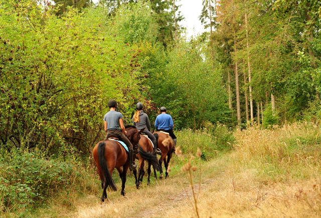 Ausritt mit Kabriola, Barinja und Schwalbenland - Trakehner Gestt Hmelschenburg - Foto: Beate Langels