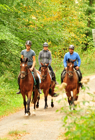 Ausritt mit Kabriola, Barinja und Schwalbenland - Trakehner Gestt Hmelschenburg - Foto: Beate Langels