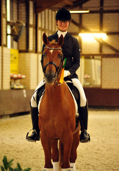 Trakehner Hengst Zauberdeyk v. Van Deyk - Friedensfrst - Trakehner Gestt Hmelschenburg - Foto: Beate Langels