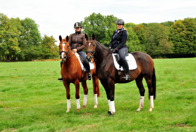 Prmienstutem Klassic Motion u. Val d'Isere v. High Motion  - Foto: Beate Langels - 
Trakehner Gestt Hmelschenburg