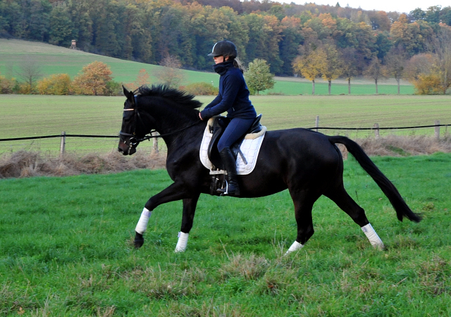 Kahlessi von El Greco u.d. Pr.u.StPrSt. Kendra v. Freudenfest  - Foto: Beate Langels -
Gest t Sch plitz