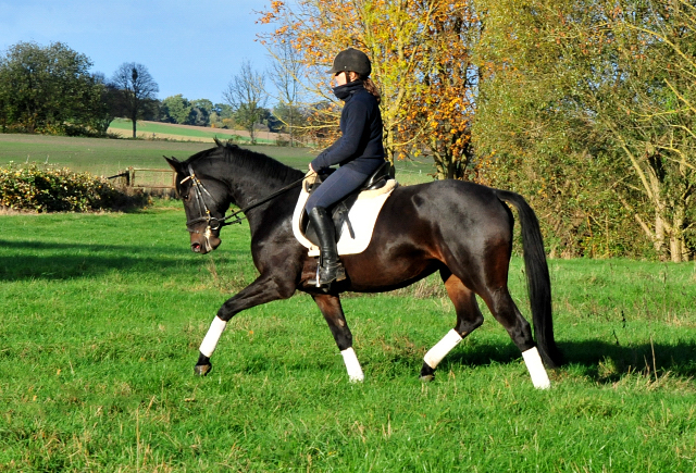 Kahlessi von El Greco u.d. Pr.u.StPrSt. Kendra v. Freudenfest  - Foto: Beate Langels -
Gest t Sch plitz