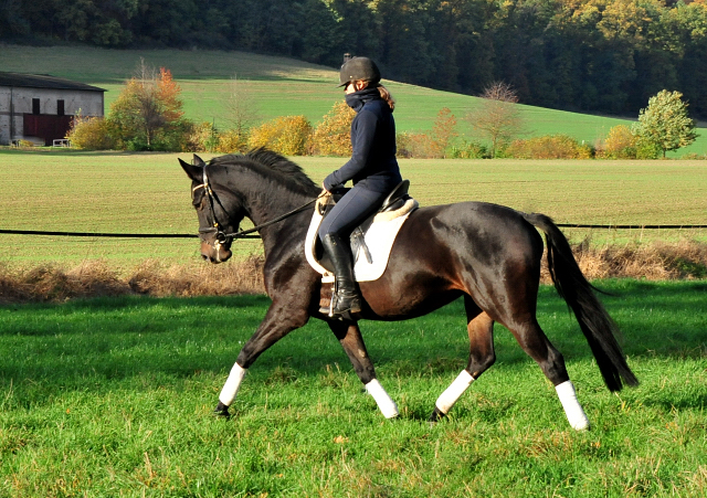 Kahlessi von El Greco u.d. Pr.u.StPrSt. Kendra v. Freudenfest  - Foto: Beate Langels -
Gest t Sch plitz