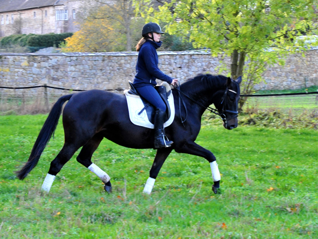 Kahlessi von El Greco u.d. Pr.u.StPrSt. Kendra v. Freudenfest  - Foto: Beate Langels -
Gest t Sch plitz