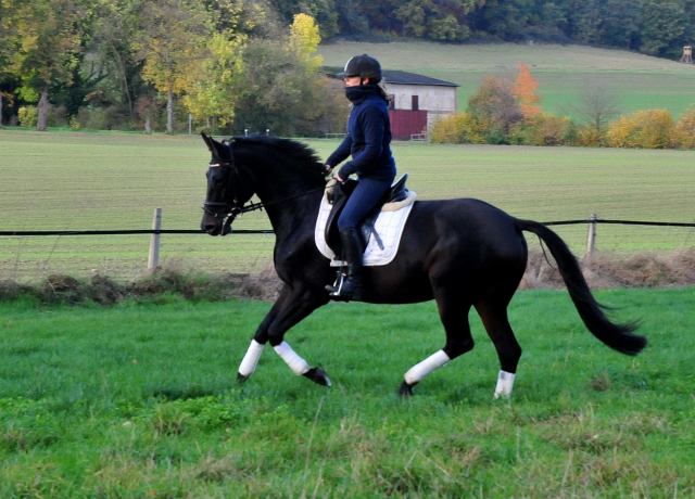Kahlessi von El Greco u.d. Pr.u.StPrSt. Kendra v. Freudenfest  - Foto: Beate Langels -
Gest t Sch plitz