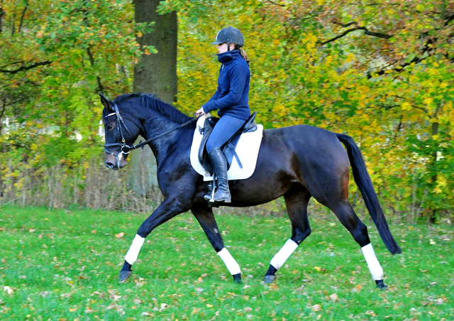 Kahlessi von El Greco u.d. Pr.u.StPrSt. Kendra v. Freudenfest  - Foto: Beate Langels -
Gest t Sch plitz