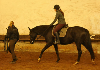 Schwalbensiegel von Kostolany u.d. Pr.,StPr. u. Elitestute Schwalbenspiel v. Exclusiv - Foto: Beate Langels - Zchter : Trakehner Gestt Hmelschenburg