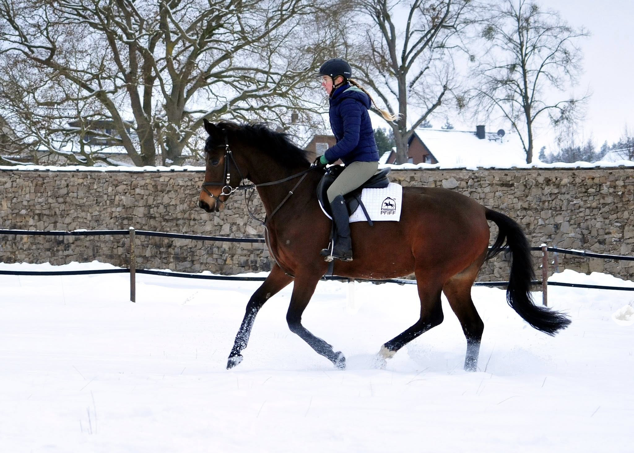 Schwalbe's Primavera v. Sch�pitzer v. Sch�pitzer u.d. Pr.St. Schwalbe's Beauty v. High Motion - Foto: Beate Langels