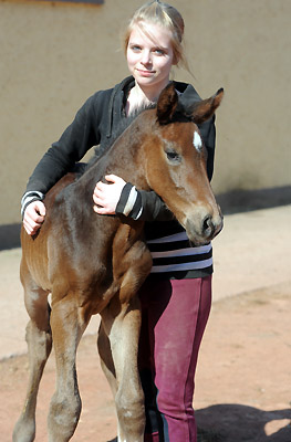 Trakehner Gestt Hmelschenburg - Foto: Beate Langels