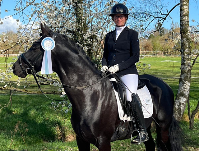 Karenio v. Imperio u.d. Pr.u.St.Pr.St. Katniss Everdeen v. Saint Cyr - Trakehner Gestt Hmelschenburg