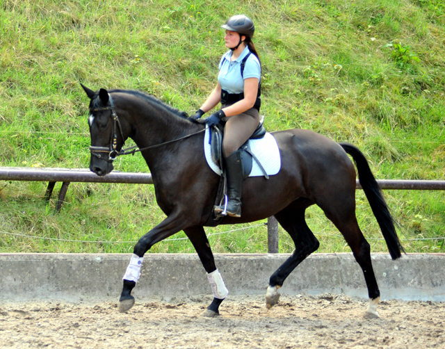 Ginger Rogers von Symont u.d. Greta Garbo v. Alter Fritz - Foto: Beate Langels, Trakehner Gestt Hmelschenburg