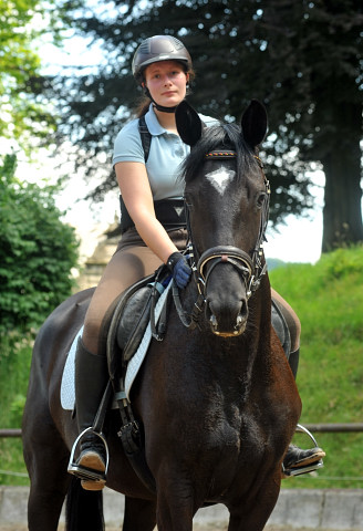 Ginger Rogers von Symont u.d. Greta Garbo v. Alter Fritz - Foto: Beate Langels, Trakehner Gestt Hmelschenburg