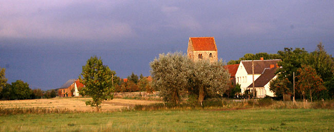 Hmelschenburger Stutennachwuchs im Gestt Schplitz