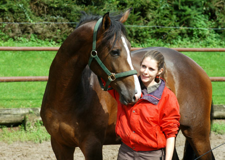 Galileo von Exclusiv u.d. Gwendolyn v. Maestro - Kostolany - Karon - Foto: Beate Langels Gestt Hmelschenburg