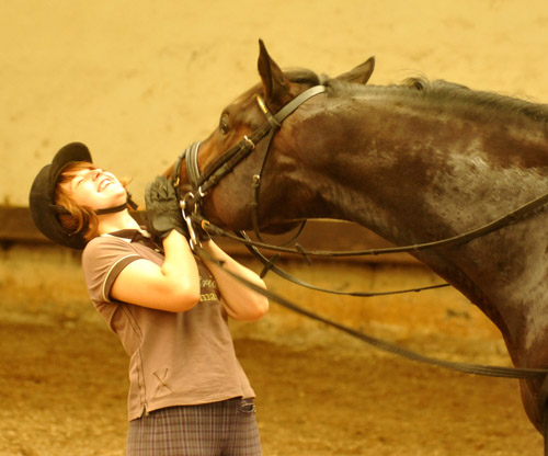 Trakehner Hengst von Exclusiv u.d. Vicenza v. Showmaster - Foto: Beate Langels, Trakehner Gestt Hmelschenburg