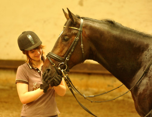Trakehner Hengst von Exclusiv u.d. Vicenza v. Showmaster - Foto: Beate Langels, Trakehner Gestt Hmelschenburg