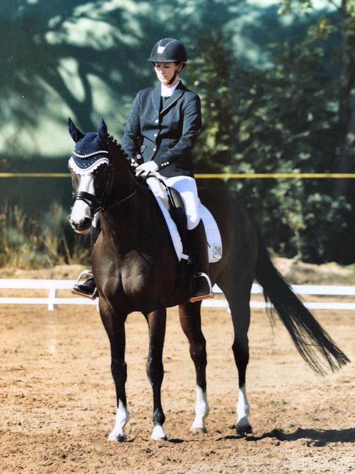 VERMENTINO - 5jhriger Trakehner von Alter Fritz u.d. Prmienstute Vittoria v. Exclusiv, Trakehner Gestt Hmelschenburg - Beate Langels